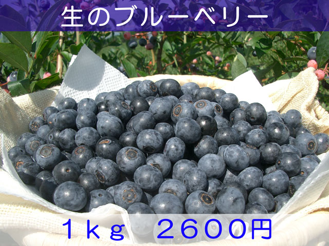 The fresh blueberry