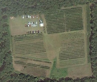 第二農園の航空写真